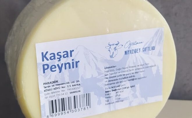 Evde Feta Peyniri Nasıl Yapılır? Kolay ve Lezzetli Tarif