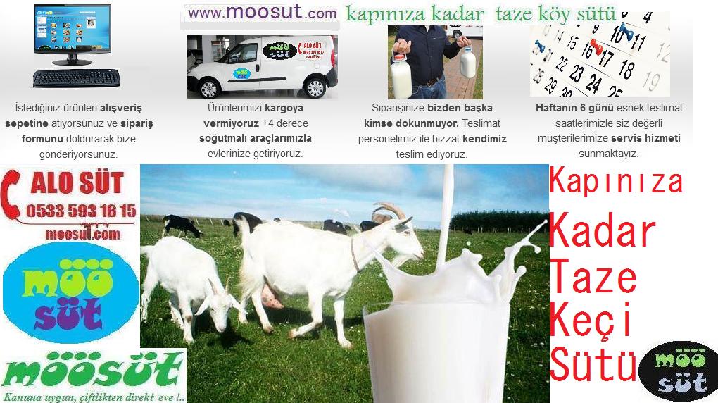 Keçi Sütü