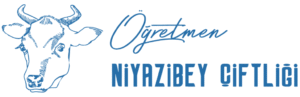 Niyazi Bey Çiftliği Doğal ve Lezzetli Manda Tereyağı Faydaları ve Kullanımı