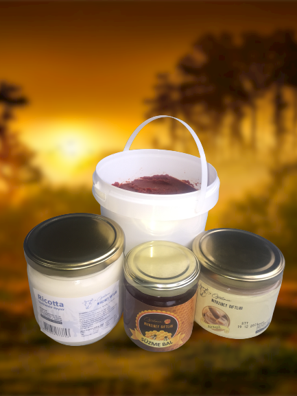 TMICC, NotCo’nun Yapay Zekasıyla Dondurulmuş Atıştırmalıklarda Devrim Yaratıyor